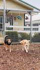 Pet boarding services Winding Creek Kennels, Inc. in Winder in Georgia