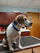 Pet boarding services Woburn Animal Hospital in Woburn in Massachusetts