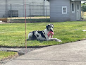 Pet boarding services Woodburn Veterinary Clinic in Woodburn in Oregon