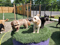 Pet boarding services Woodland Pet Resort in Saginaw in MI