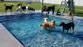 Pet boarding services Woodland West Pet Resort in Tulsa in OK