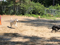 Pet boarding services Woodlawn Pet Resort Llc in Warner in NH