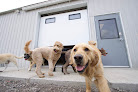 Pet boarding services Woof Creek Kennel in Overland Park in KS