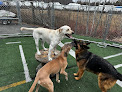 Pet boarding services Woof Llc in Glenburn in Maine