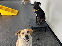 Pet boarding services Woof Pack Resort & Spa in Johnston in IA