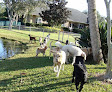 Pet boarding services Woof Playcare Dog Resort in Palm Bay in Florida