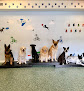 Pet boarding services Woof Tang Dog Services in Orlando in FL