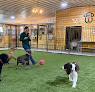 Pet boarding services Woofers Pet Resort -- Northern Hills (sturgis) in Sturgis in SD