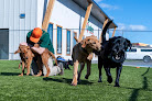 Pet boarding services Woofers Pet Resort - Rapid City (black Hawk) in Black Hawk in SD