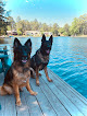 Pet boarding services Woofpack Pet Care Llc in Fuquay-Varina in North Carolina