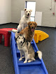 Pet boarding services Woof's Play & Stay in Lawrence in Kansas