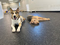 Pet boarding services Woof's Play & Stay in Topeka in Kansas