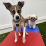 Pet boarding services Woof's Play & Stay in Wichita in Kansas