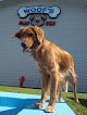 Pet boarding services Woof's Play & Stay in Gladstone in Missouri