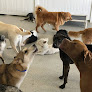 Pet boarding services Woof's Play & Stay in Manhattan in Kansas