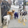 Pet boarding services Woofs & Wags in Brooklyn in Brooklyn