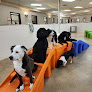 Pet boarding services Wuf Pet Resort & Spa in Irving in Texas