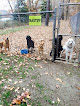 Pet boarding services Wye River Kennel - Dog & Cat Boarding Kennel & Dog Daycare Queenstown in Queenstown in Queenstown, MD