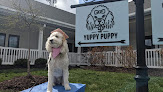 Pet boarding services Yuppy Puppy Pet Spa in O'Fallon in St. Charles