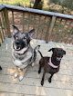 Pet boarding services Zeba Dog Boarding in Crestview in FL