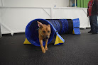 Pet boarding services Zendog in Broussard in Louisiana