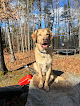 Pet boarding services Zion Hill Kennel in New Durham in New Hampshire