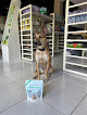 Pet boarding services Zoomies Pet Supply in Apotgan in Guam